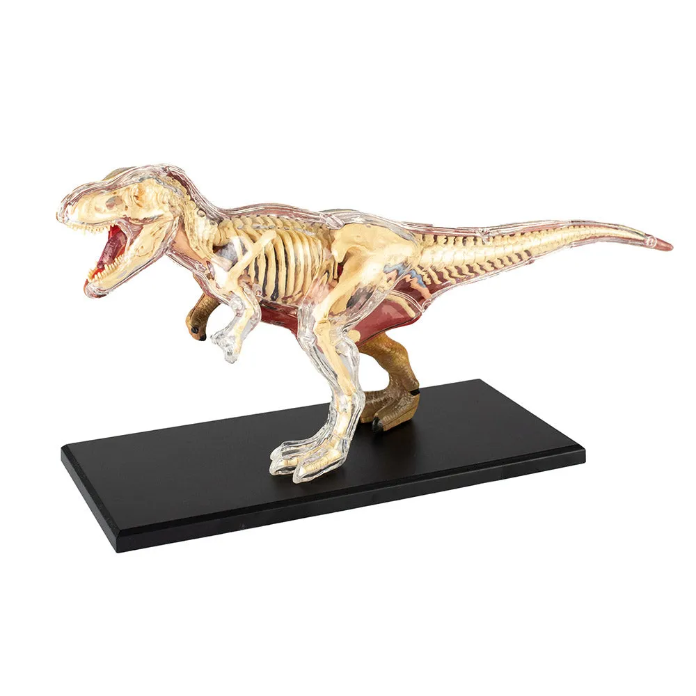 4D Tyrannosaurus Anatomy Puzzle