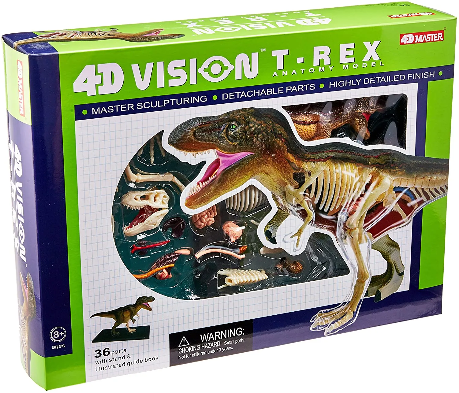 4D Tyrannosaurus Anatomy Puzzle