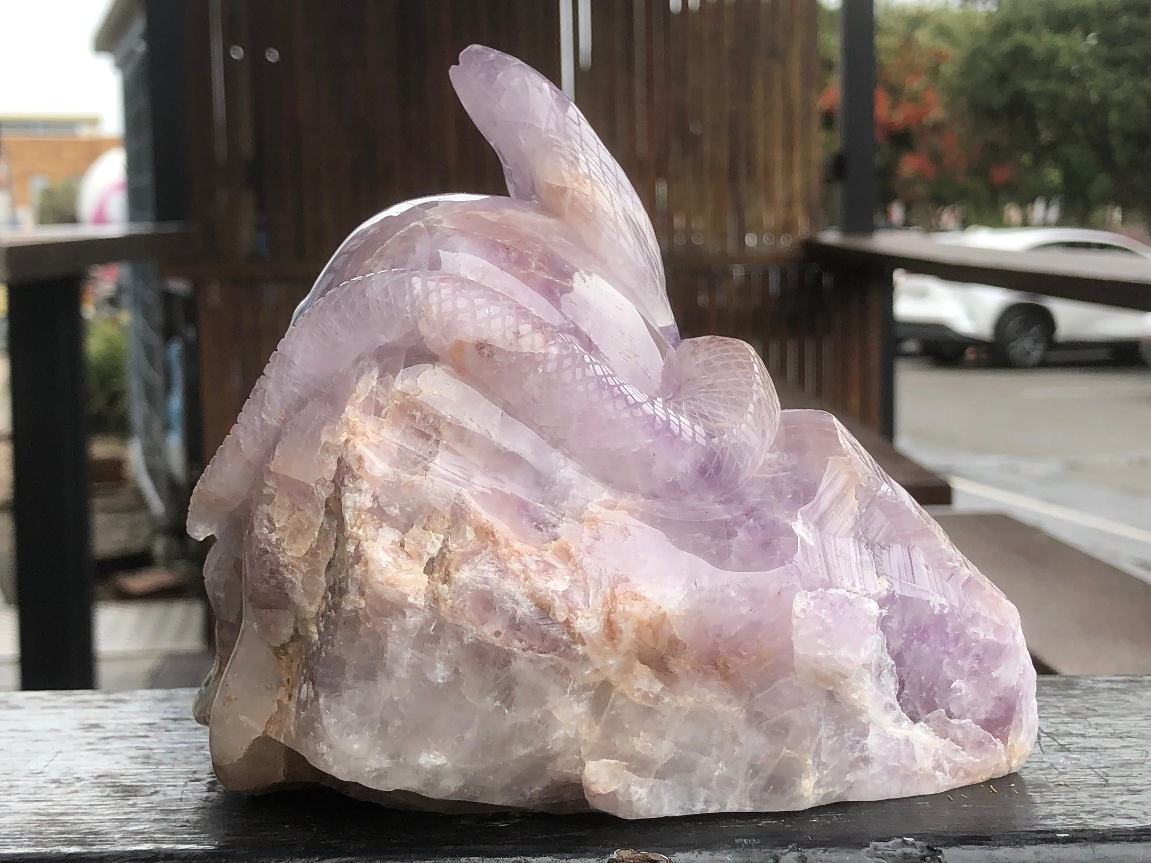 Amethyst Skull and Snake Sculpture [1k1497]