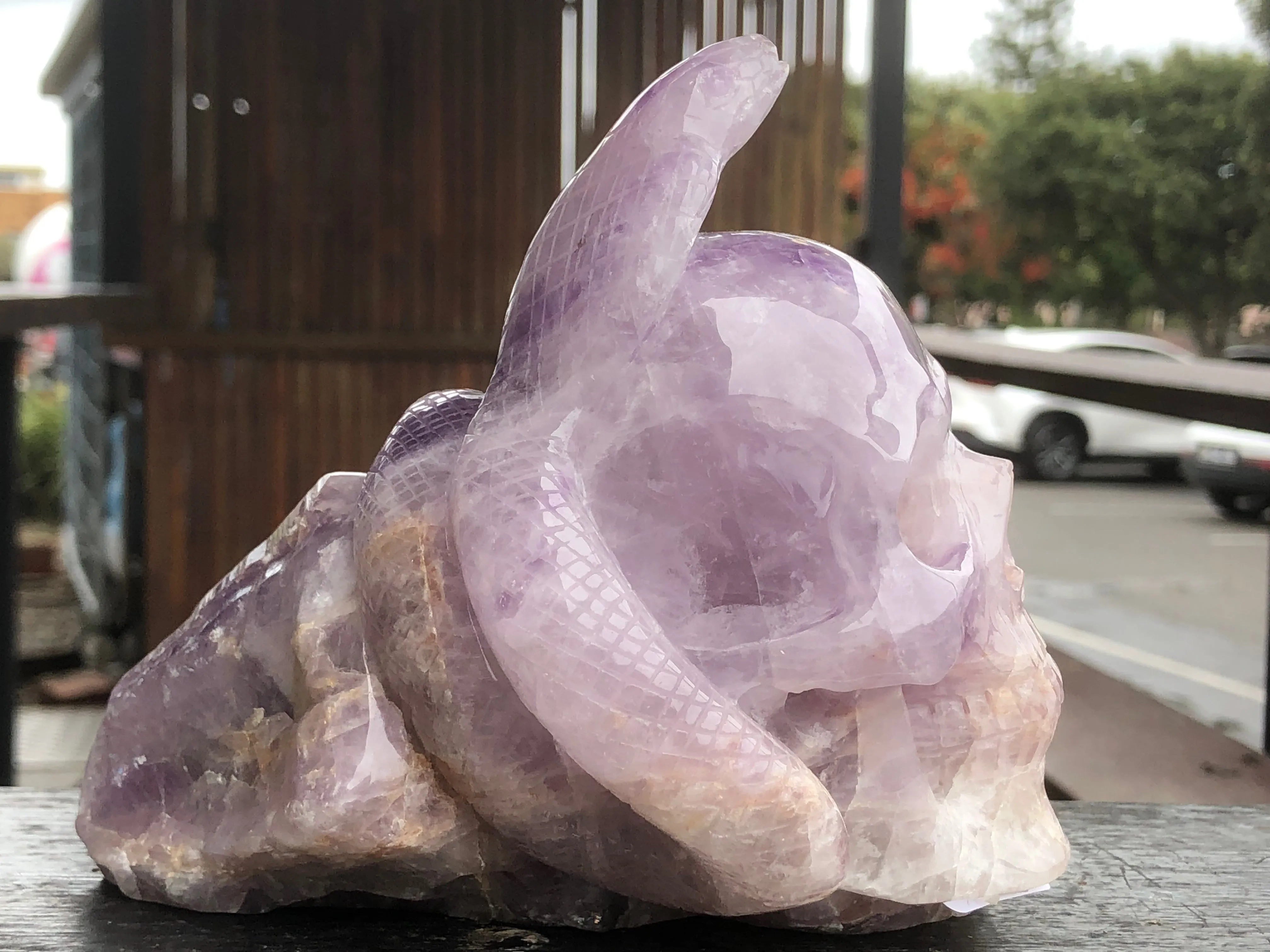 Amethyst Skull and Snake Sculpture [1k1497]