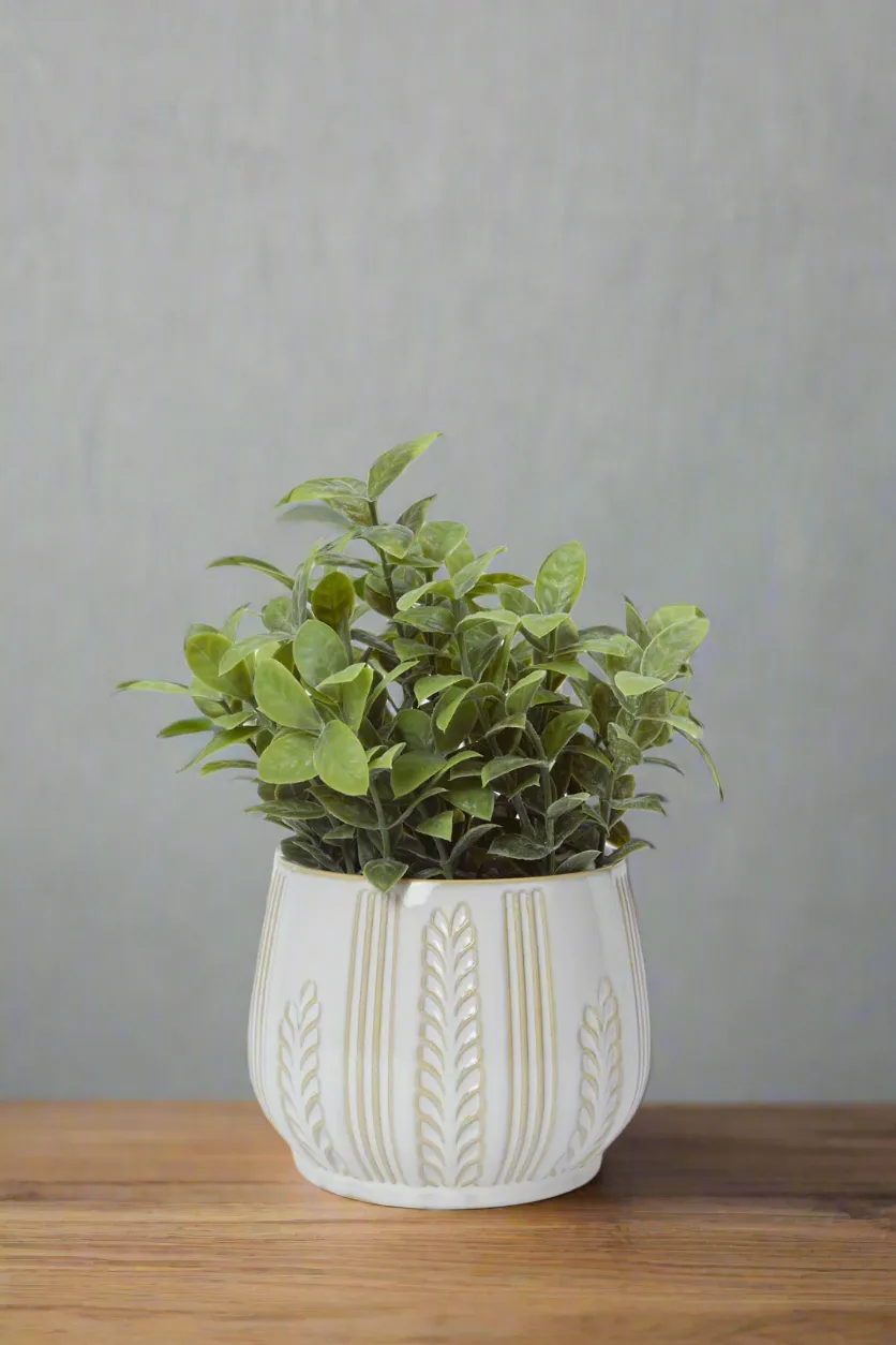 Artificial Creeper Plant In Ceramic Pot