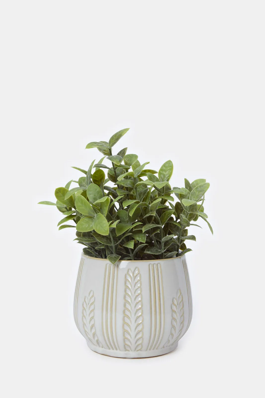 Artificial Creeper Plant In Ceramic Pot