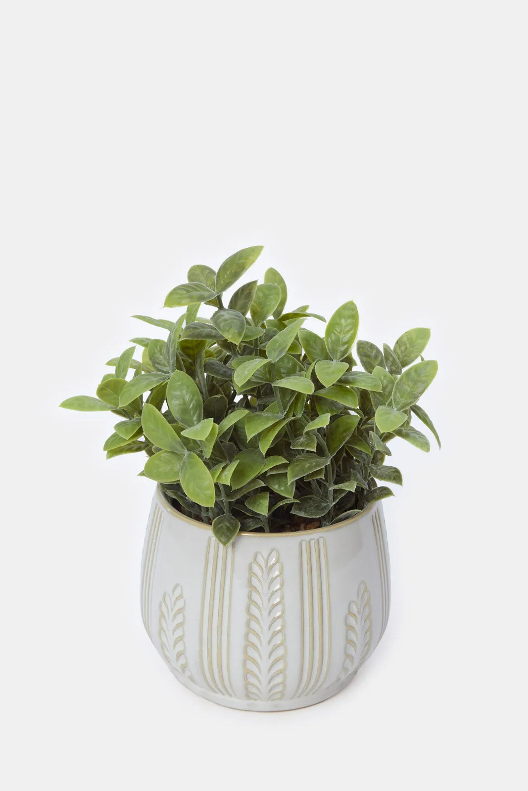 Artificial Creeper Plant In Ceramic Pot