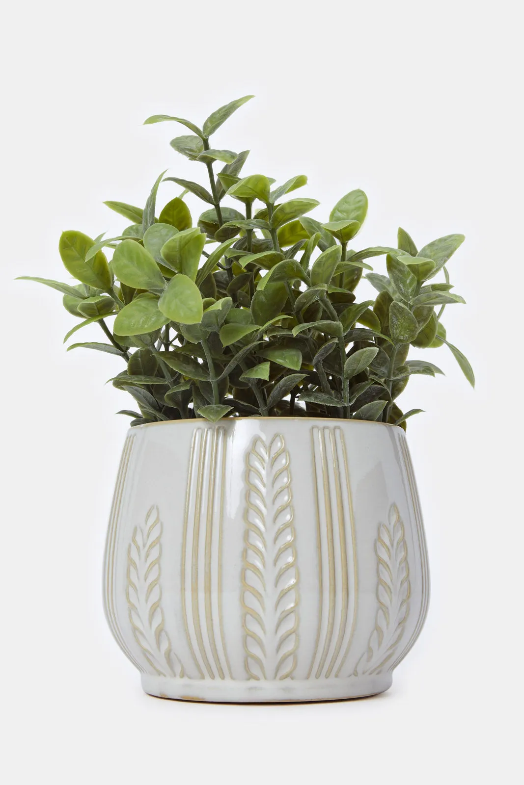 Artificial Creeper Plant In Ceramic Pot