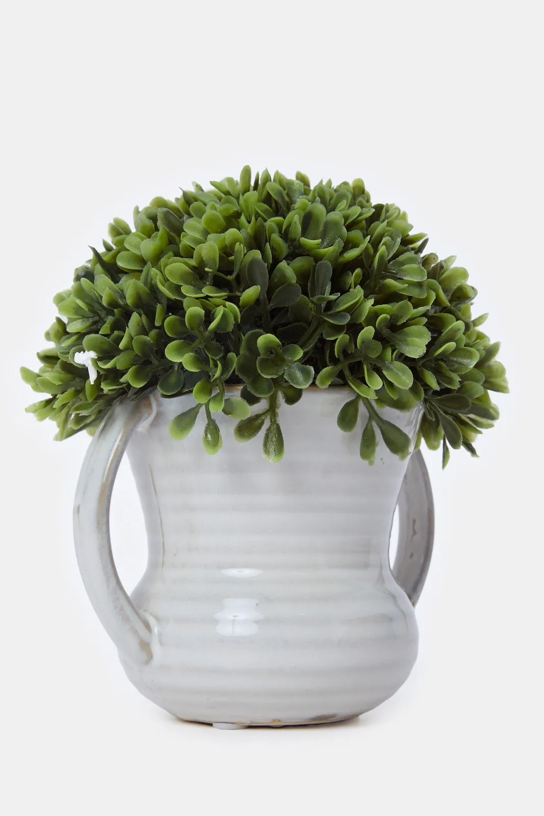 Artificial Creeper Plant In Ceramic Pot