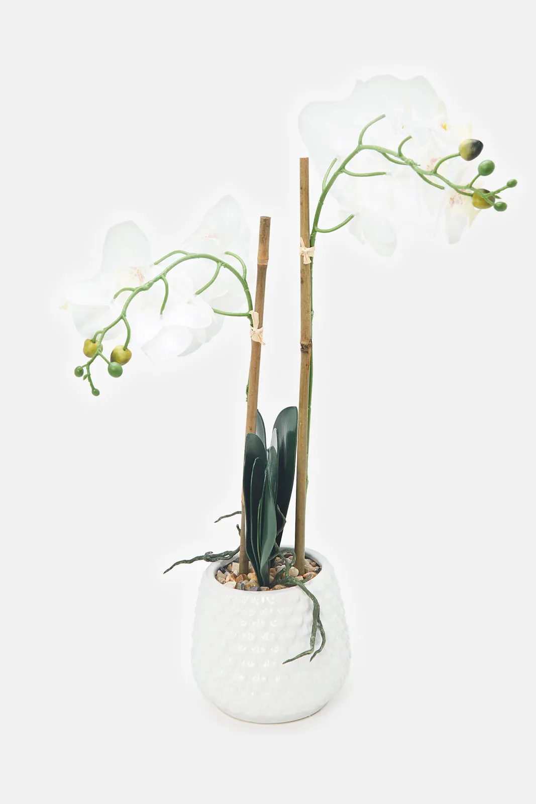 Artificial Orchid Flower In Ceramic Vase