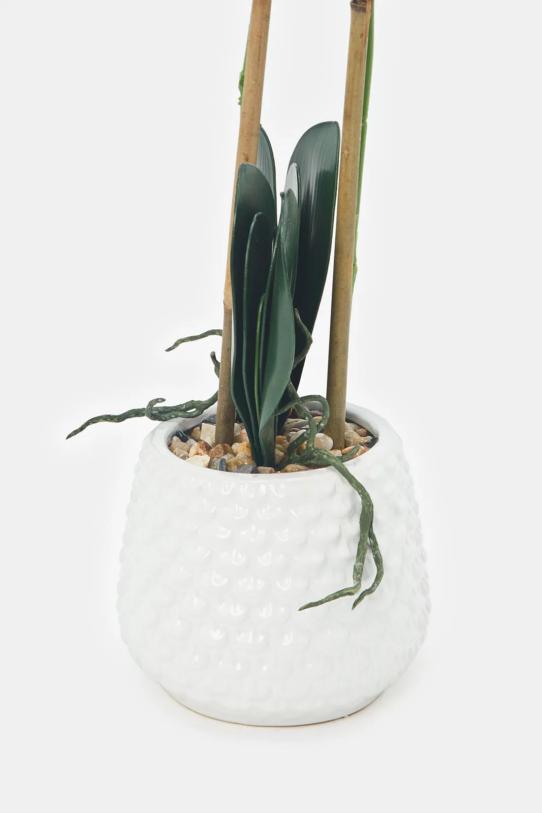 Artificial Orchid Flower In Ceramic Vase