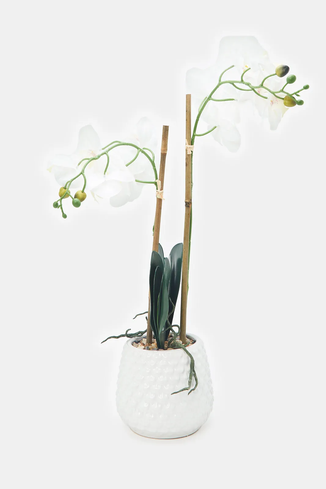 Artificial Orchid Flower In Ceramic Vase