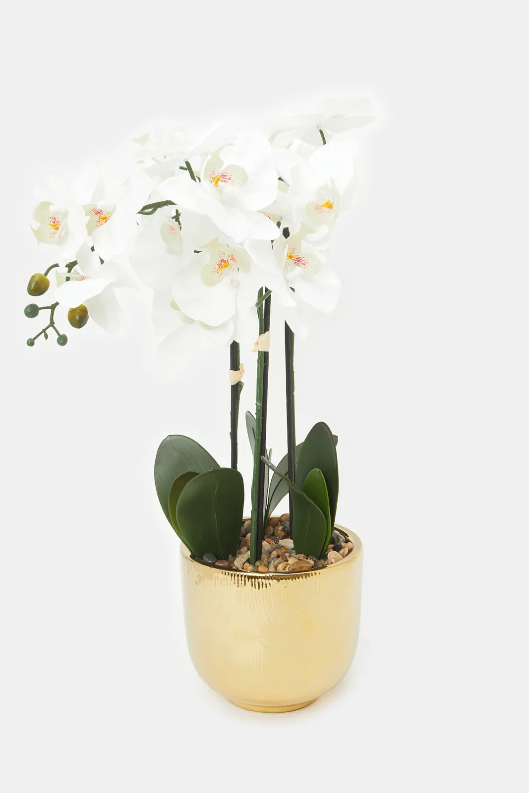 Artificial Orchid Flower In Gold And White Ceramic Vase