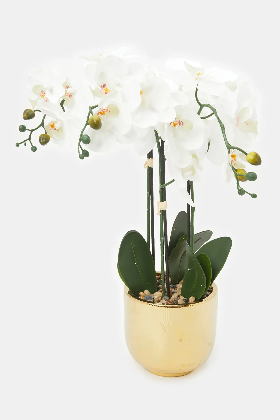 Artificial Orchid Flower In Gold And White Ceramic Vase