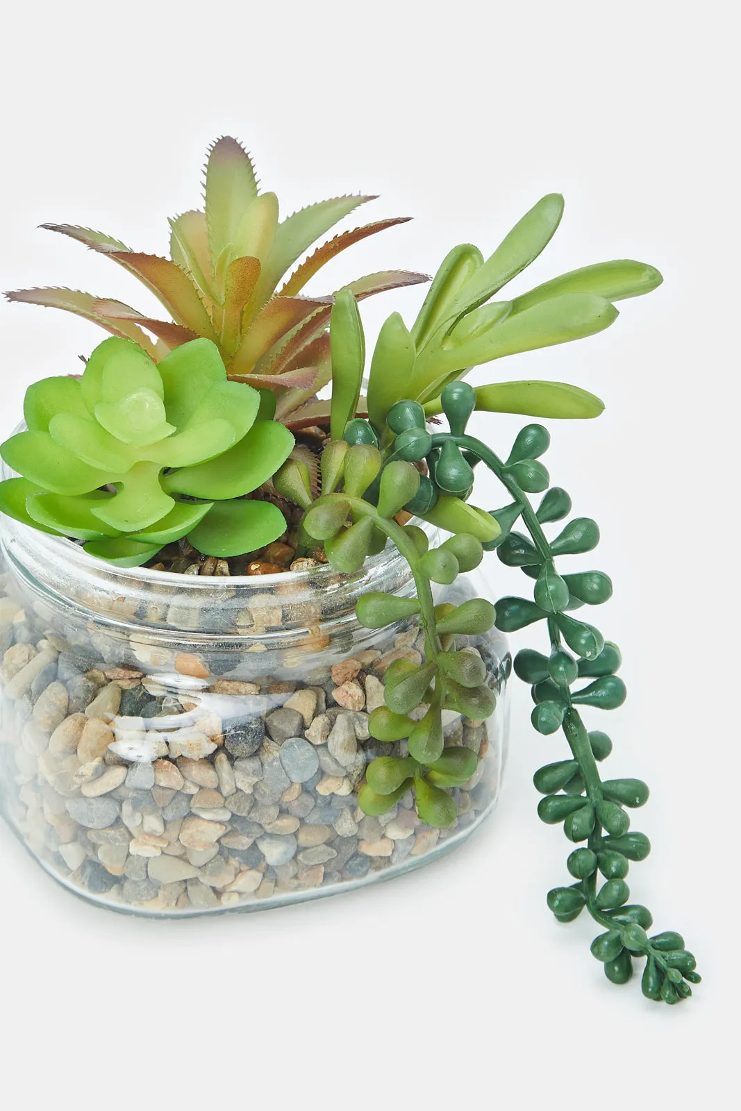 Artificial Succulent Plant With Glass Pot