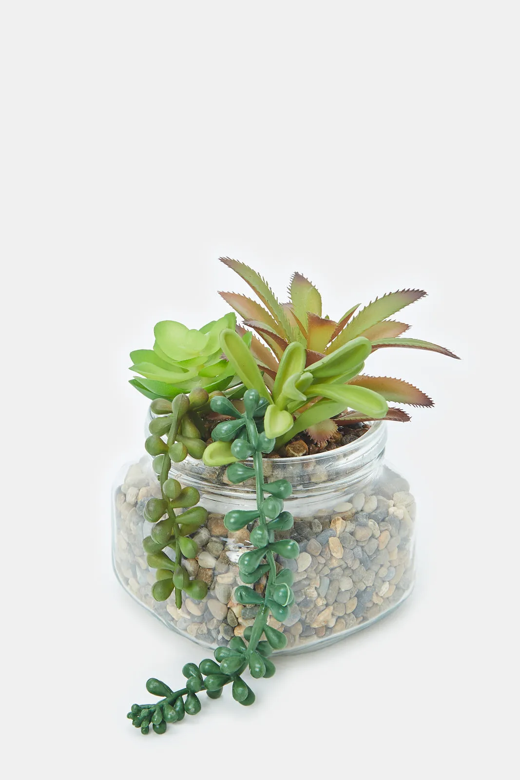 Artificial Succulent Plant With Glass Pot