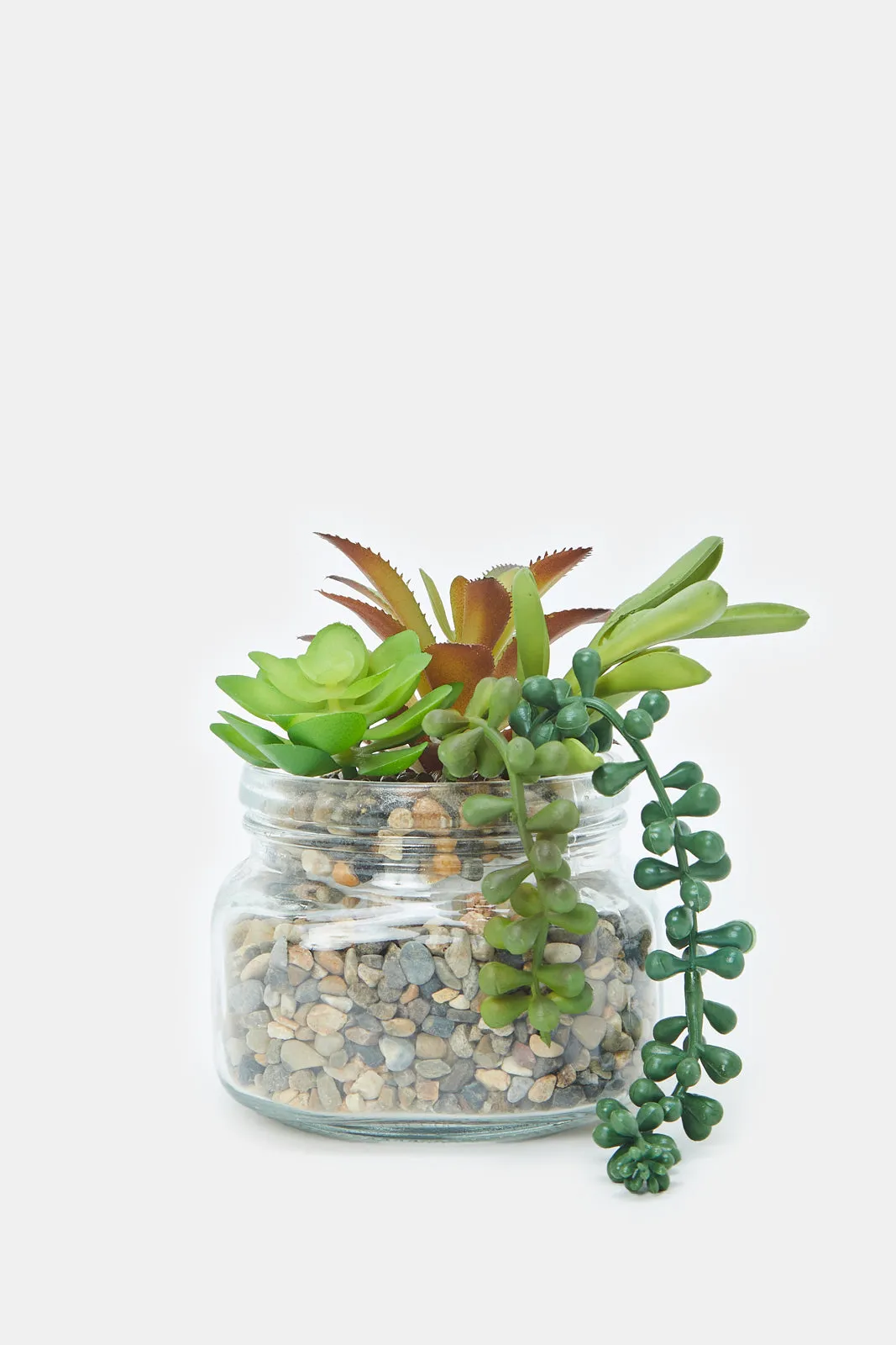 Artificial Succulent Plant With Glass Pot