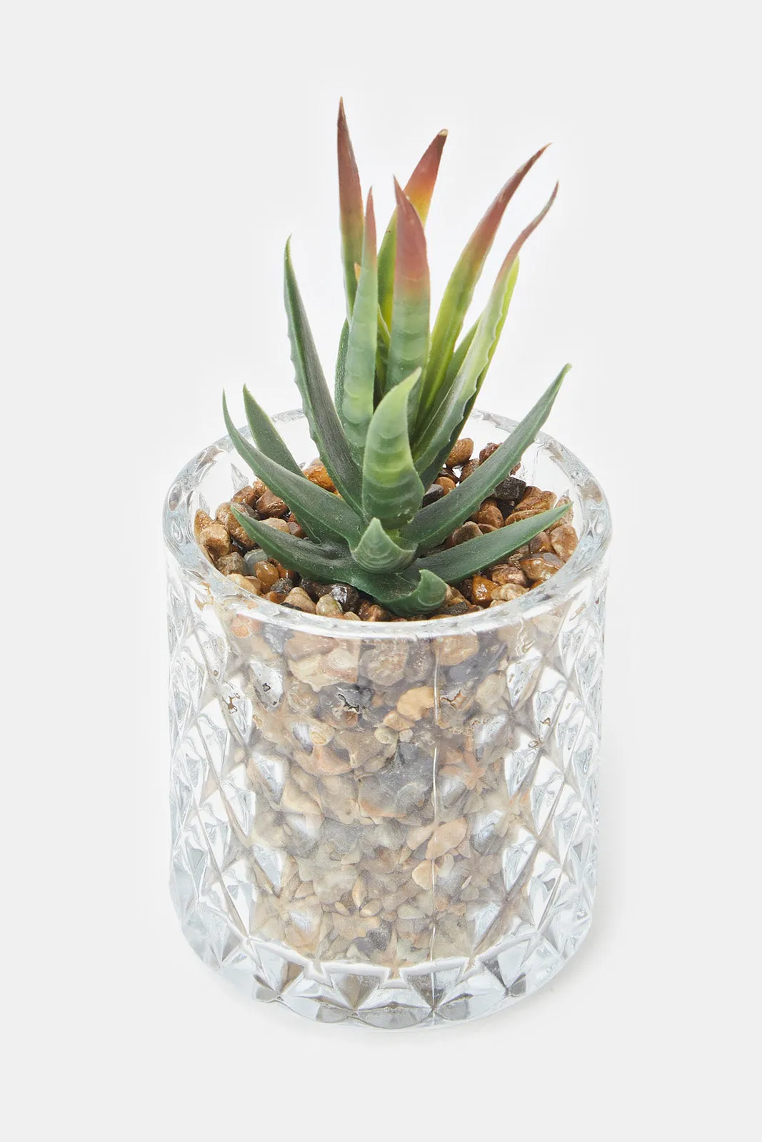 Artificial Suculent Plant In Glass Pot