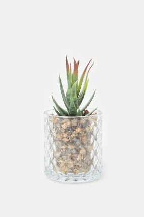 Artificial Suculent Plant In Glass Pot