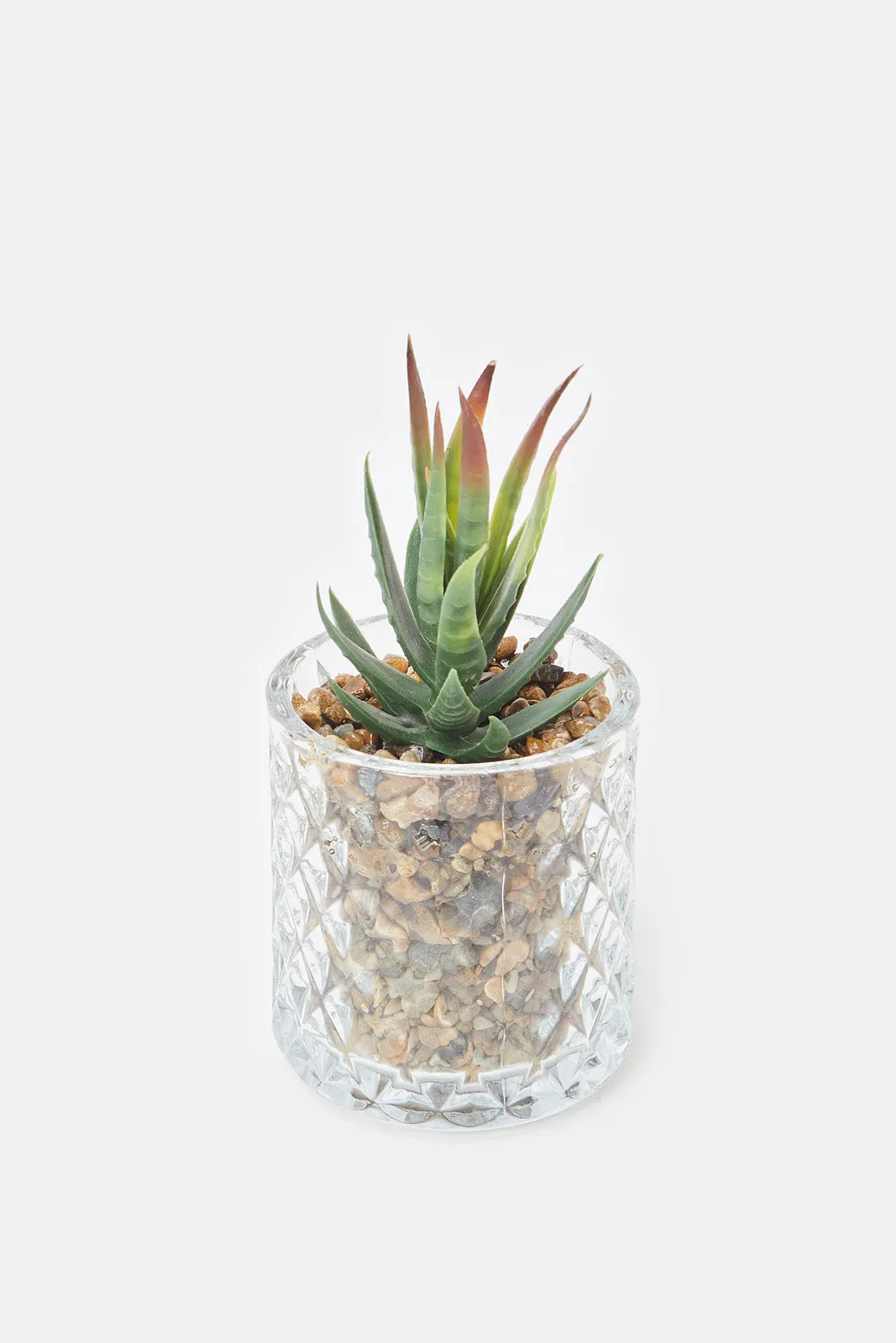 Artificial Suculent Plant In Glass Pot