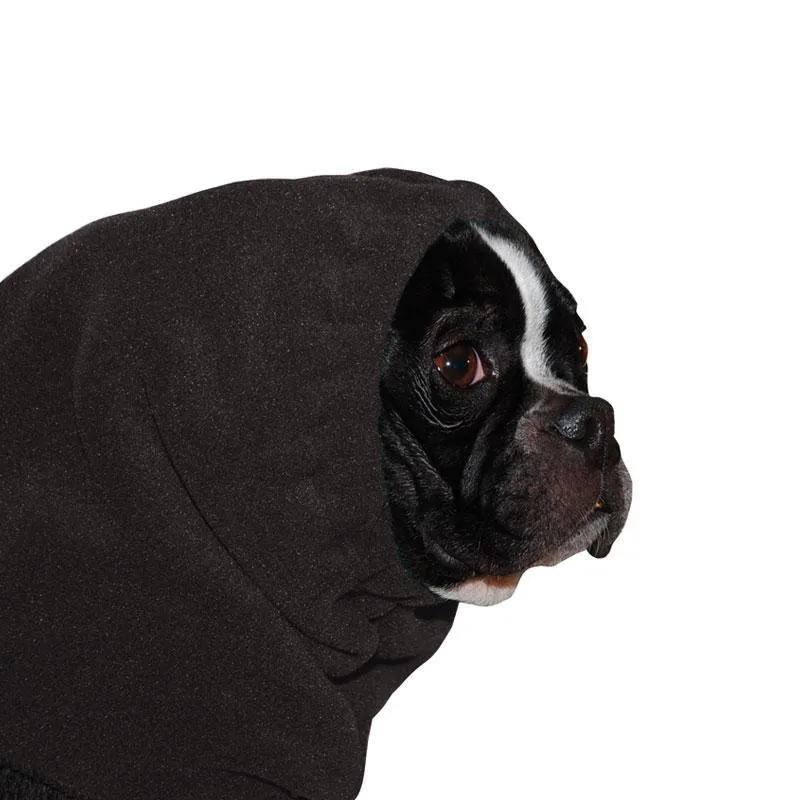 Boston Terrier Hood