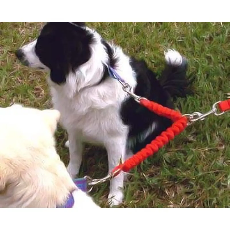 Bungee Leash Coupler