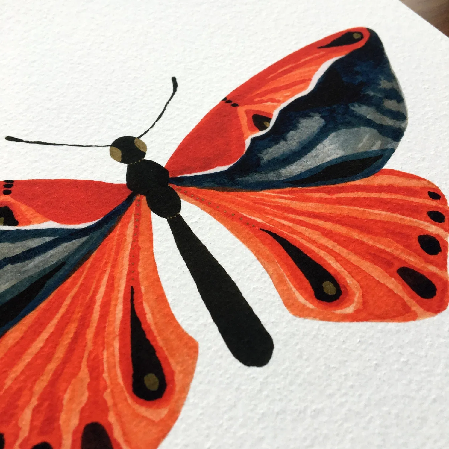 Butterfly: Beauty / Art Print