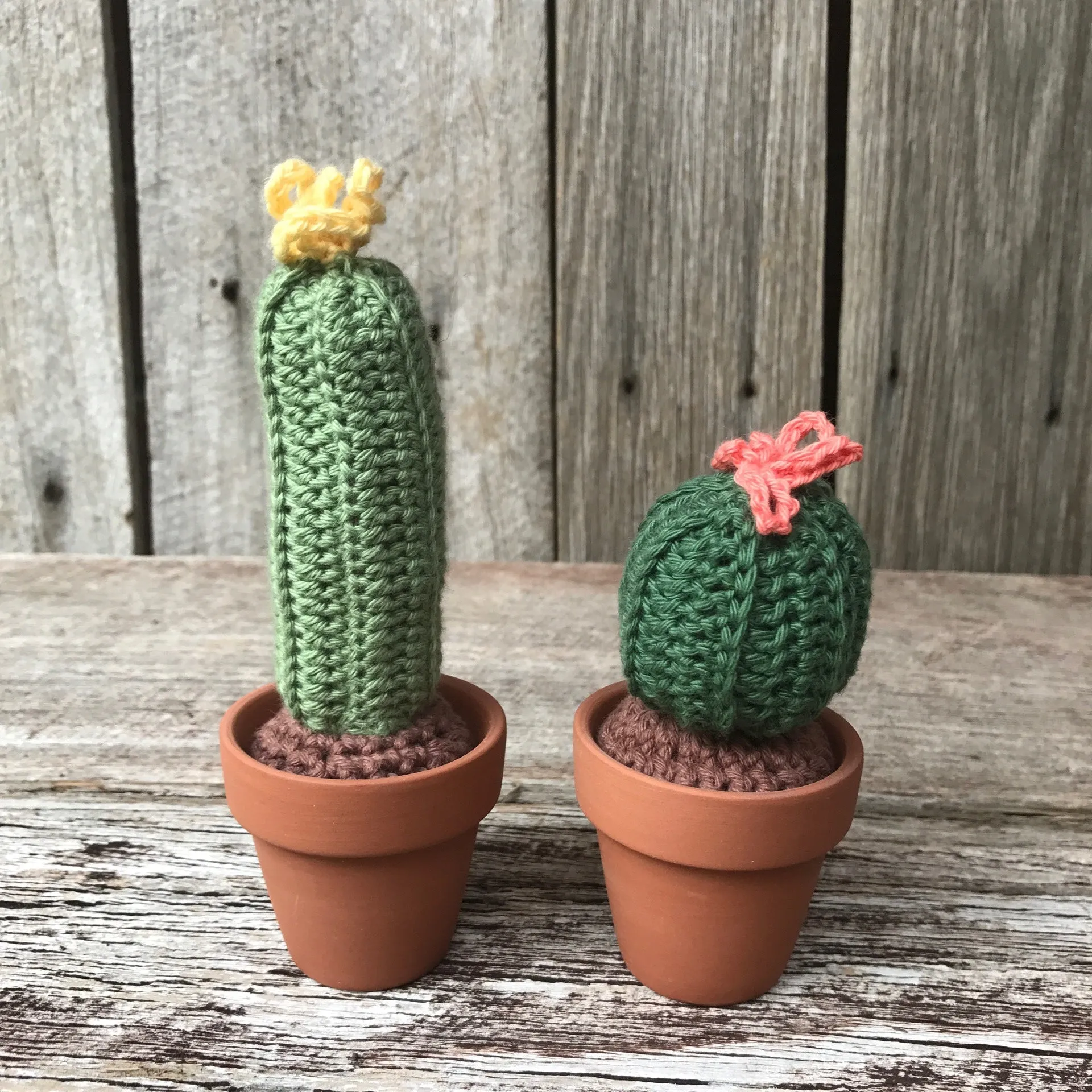 Crochet Cactus