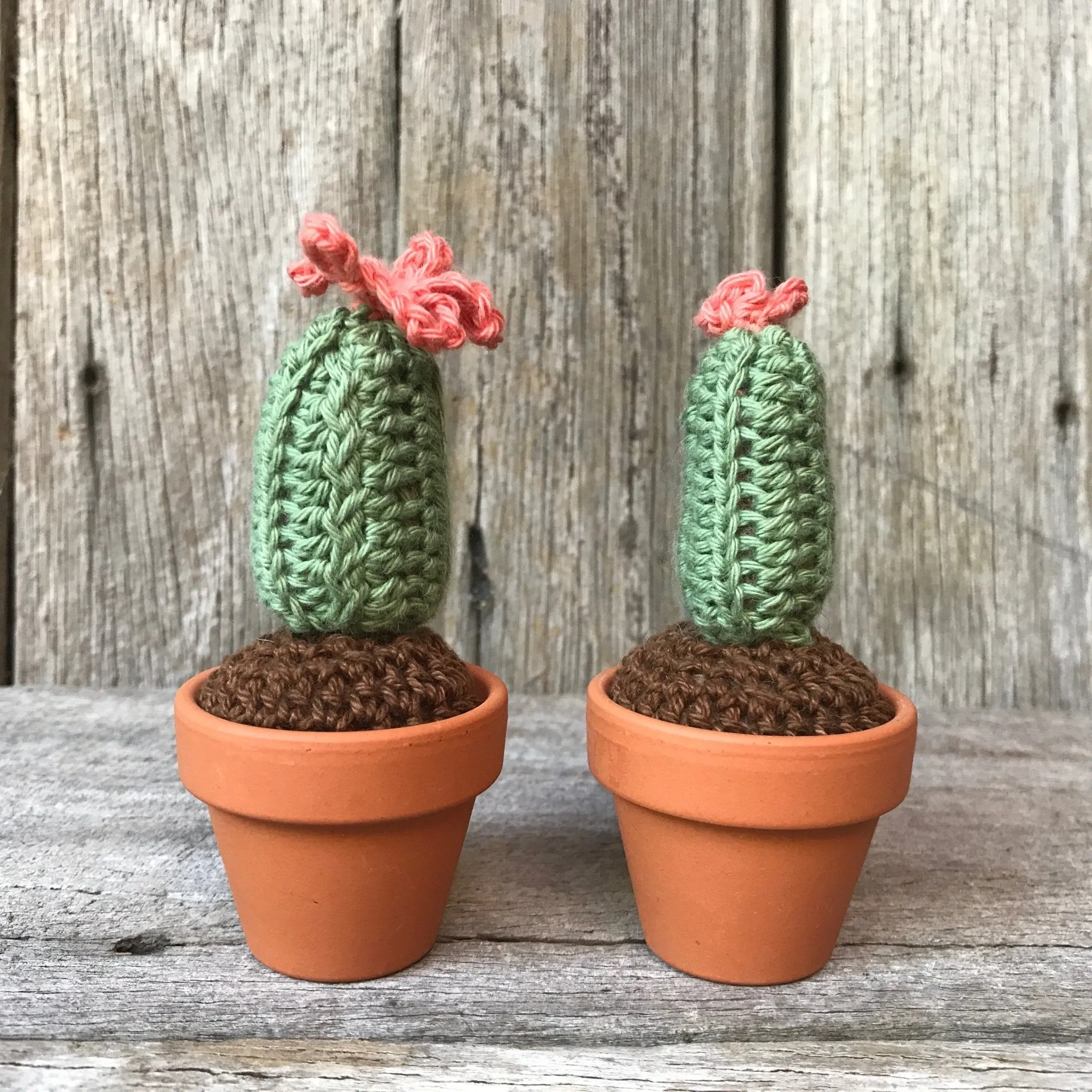 Crochet Cactus