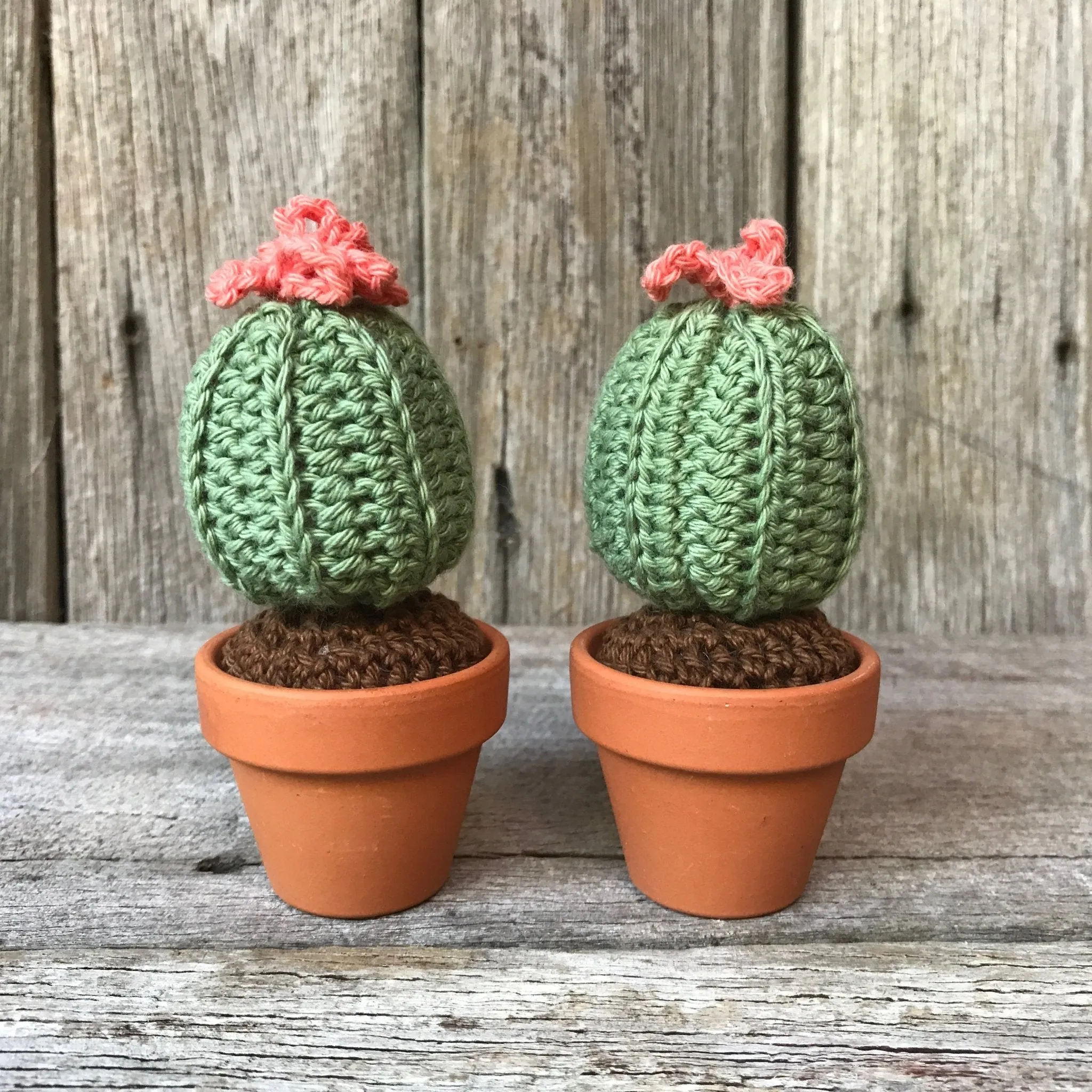 Crochet Cactus