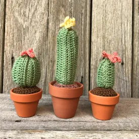 Crochet Cactus