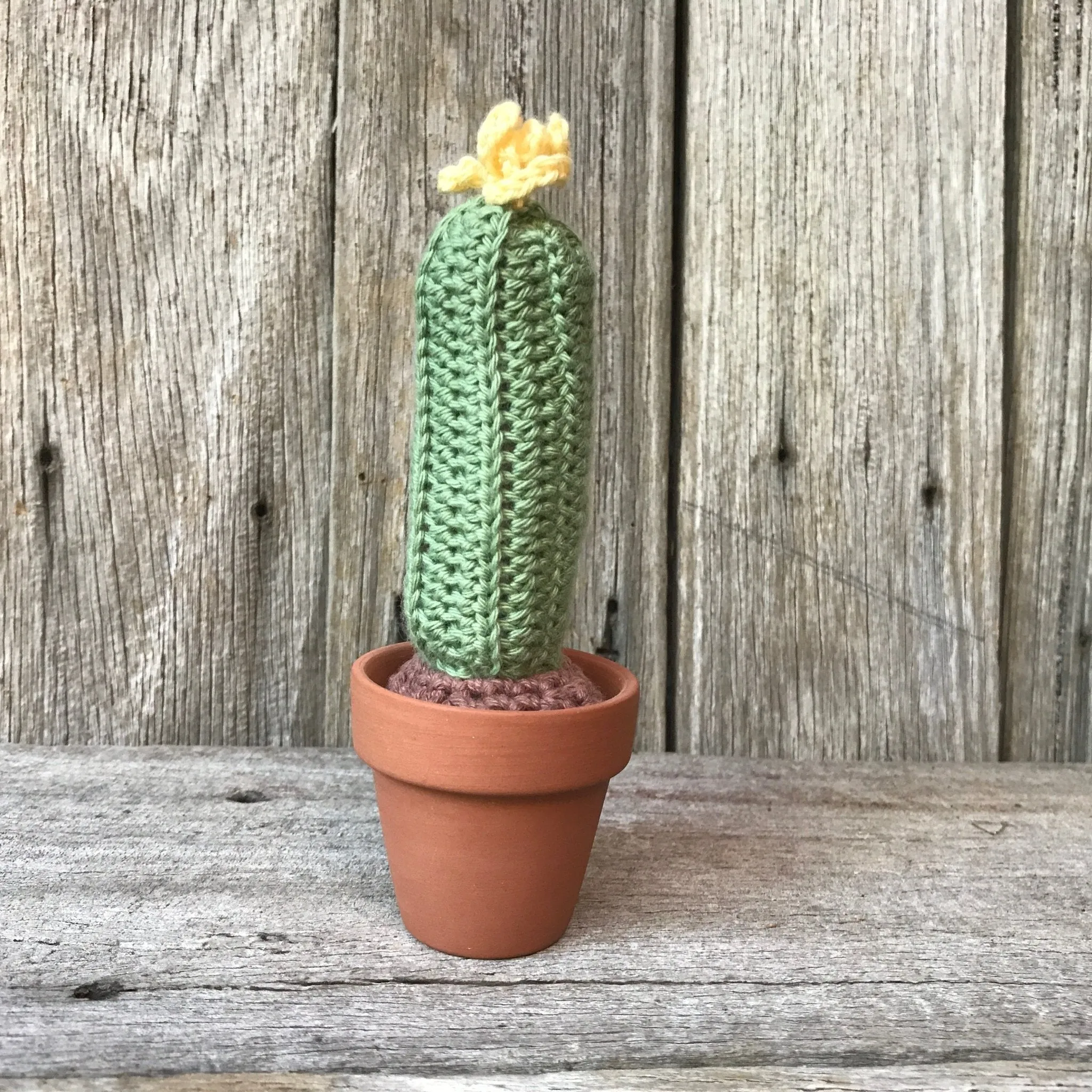 Crochet Cactus