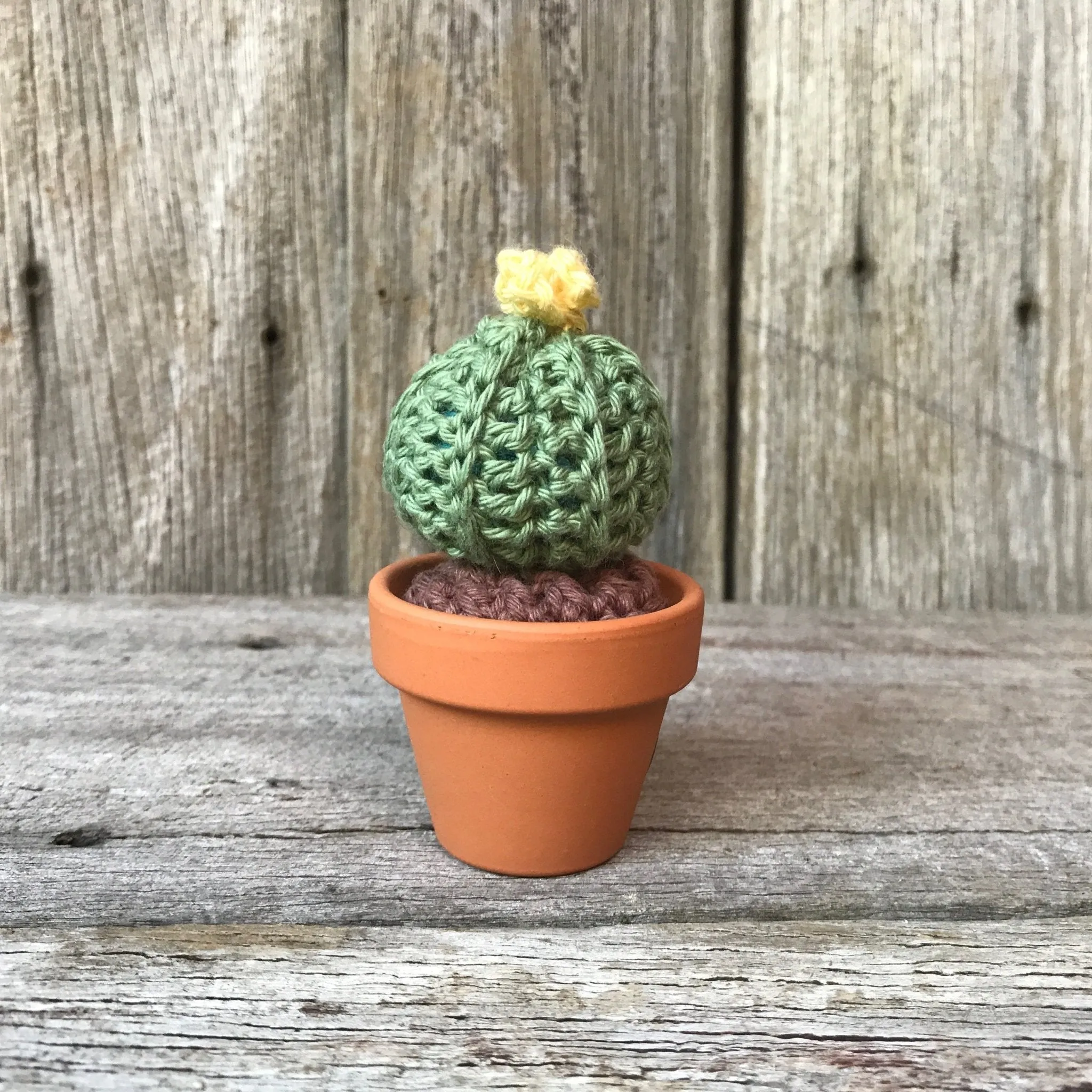 Crochet Cactus