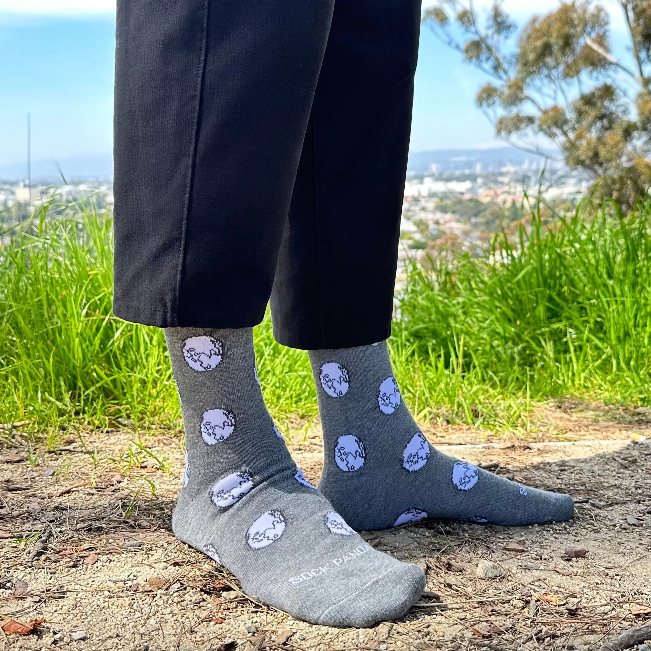 Earth Pattern Socks from the Sock Panda (Adult Large - Men's Shoe Sizes 8-12)