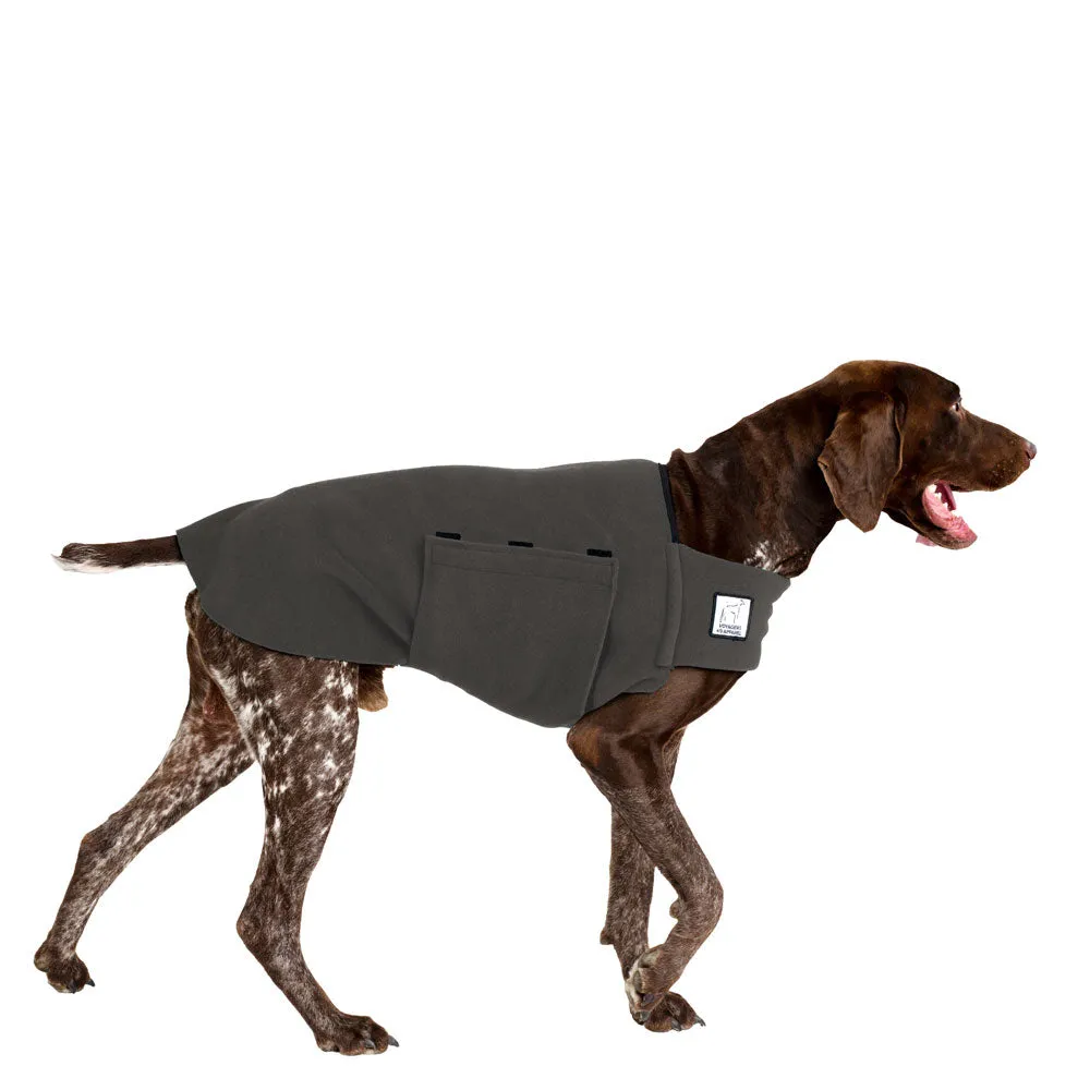 German Shorthaired Pointer Tummy Warmer