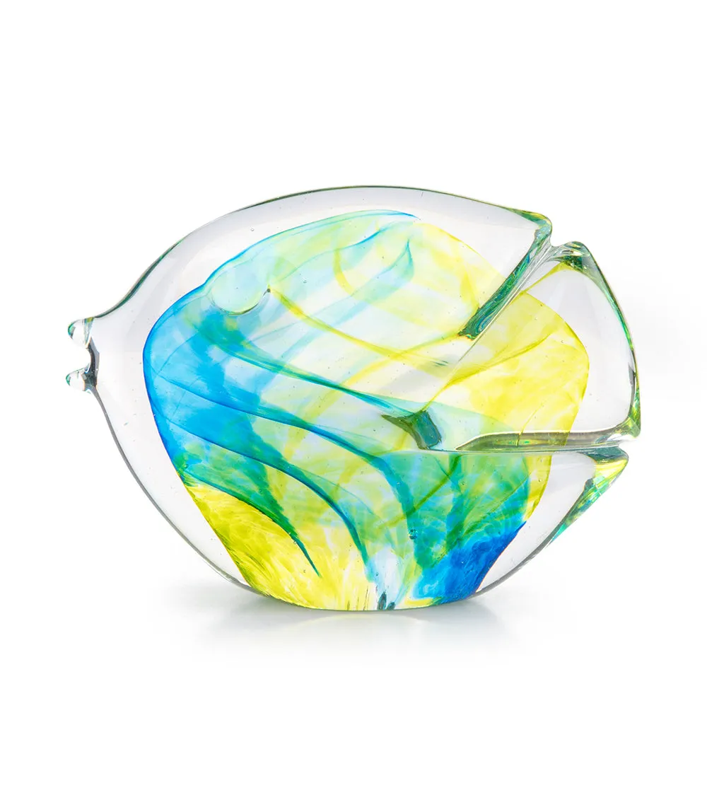 Glass Fish "Citron Blue" by Jim Graper