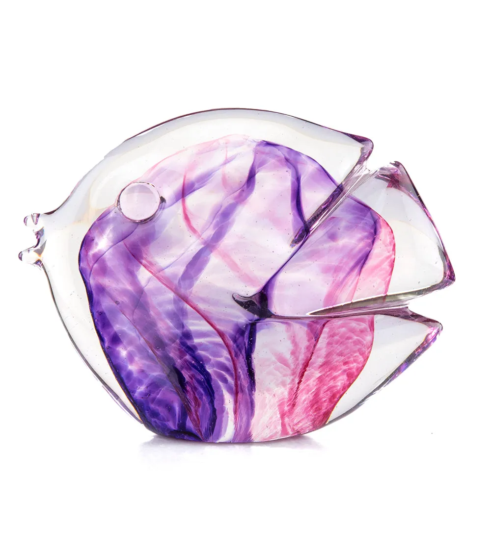 Glass Fish "Purple Pink" by Jim Graper