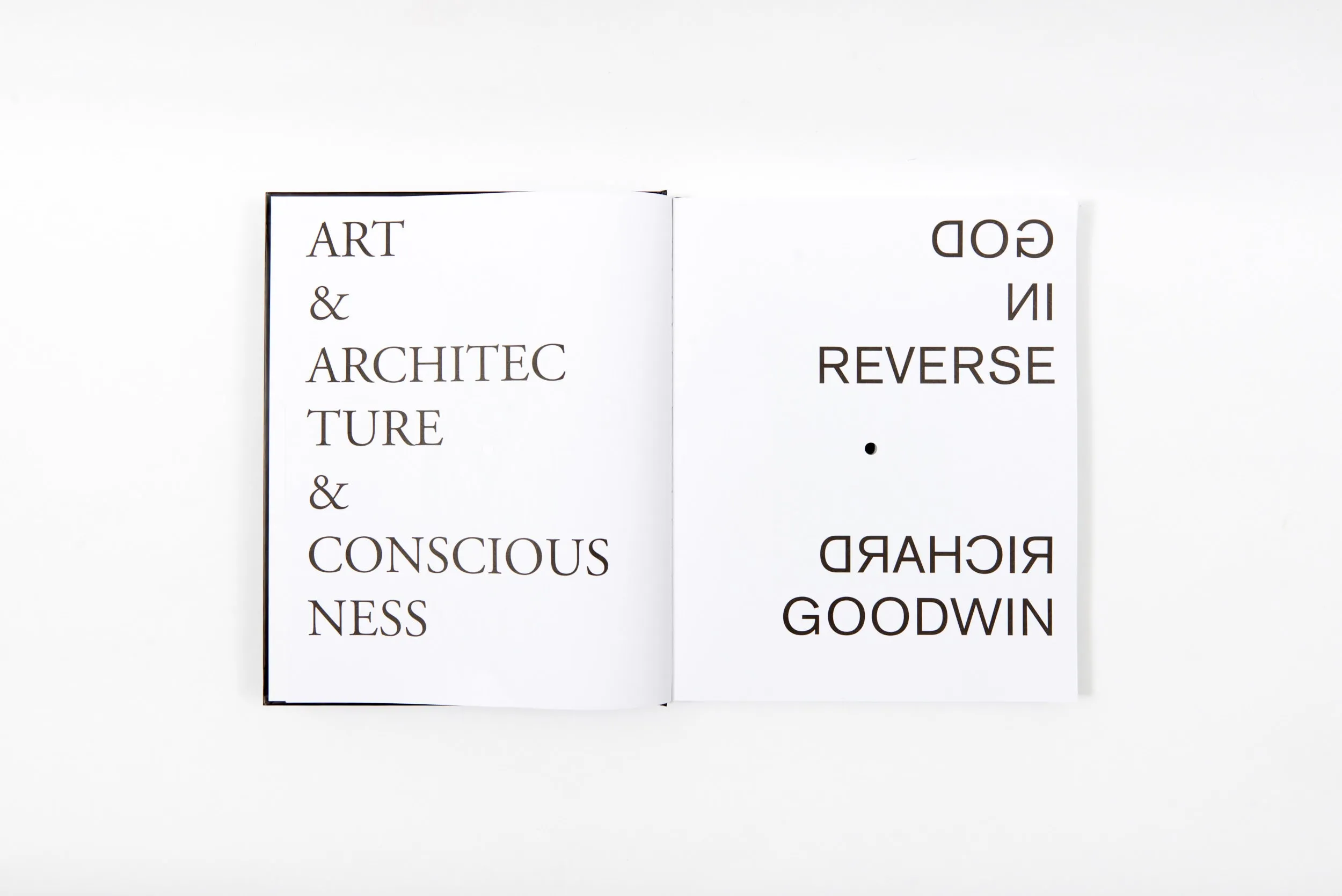 God in Reverse: Art, Architecture and Consciousness