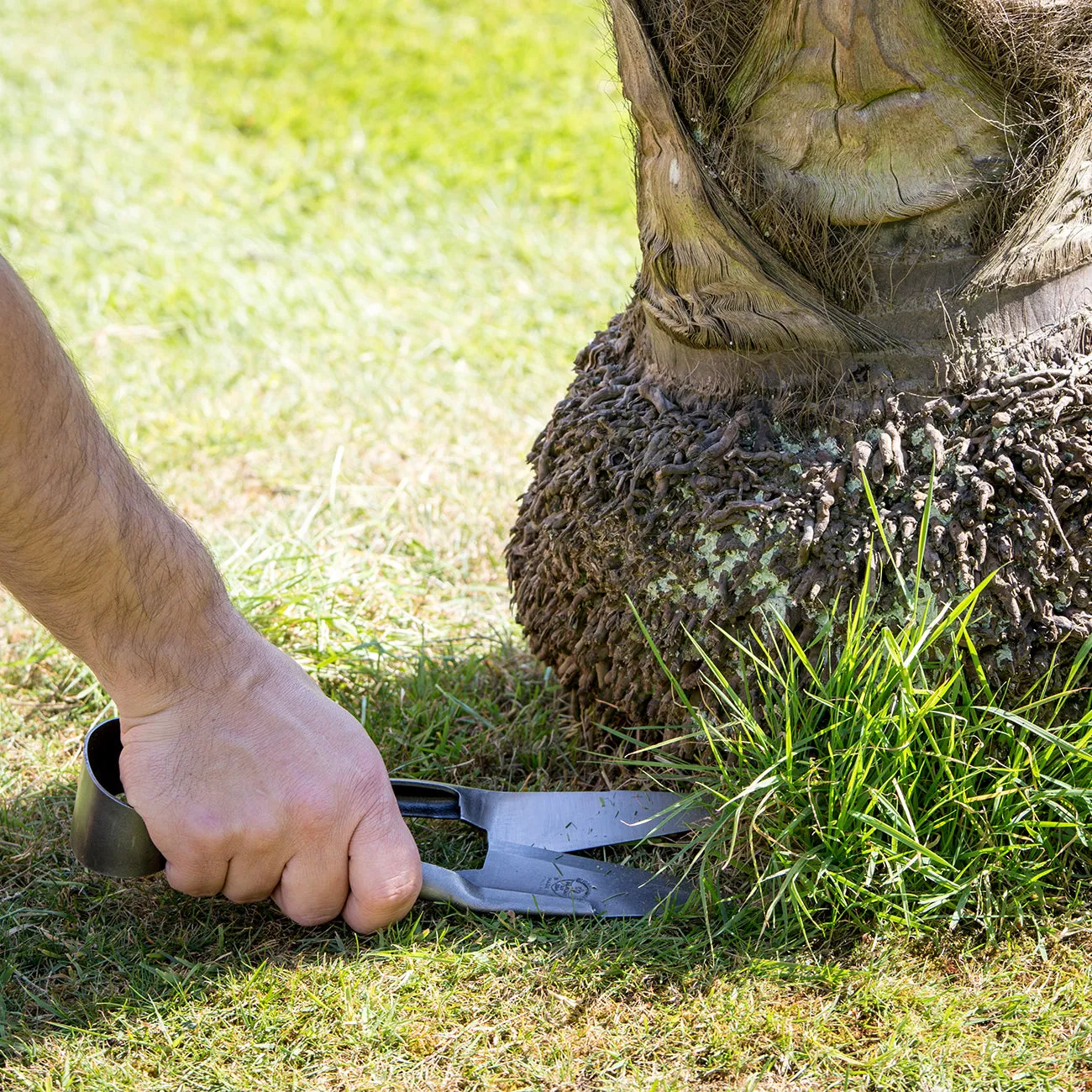 Grass Shear - RHS Endorsed