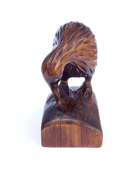 Large Carved Wooden Kiwi Bird