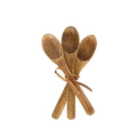 Mango Wood Mini Serving Spoons (Set of 3)