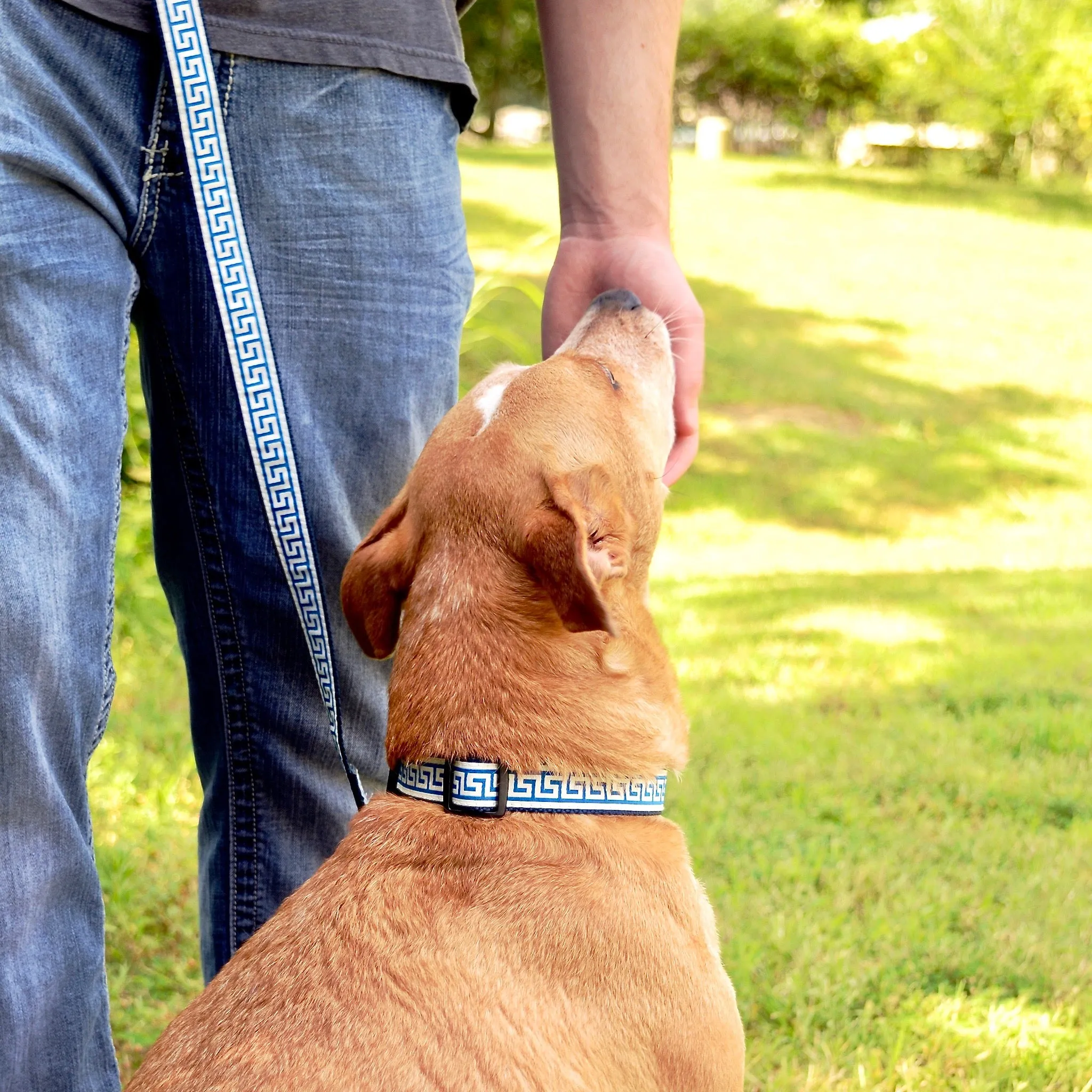 National Archives Heavy Duty Pet Leash