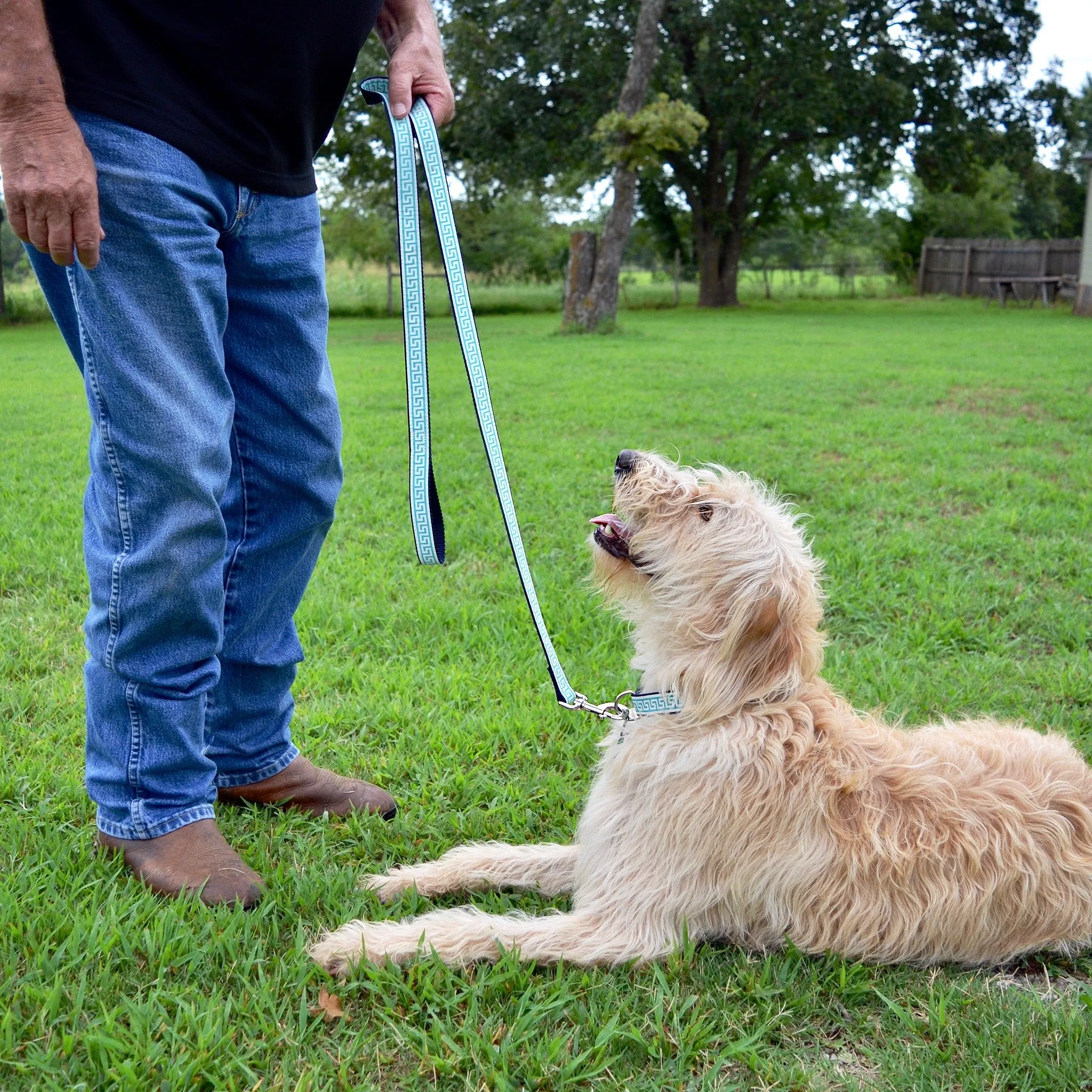 National Archives Heavy Duty Pet Leash