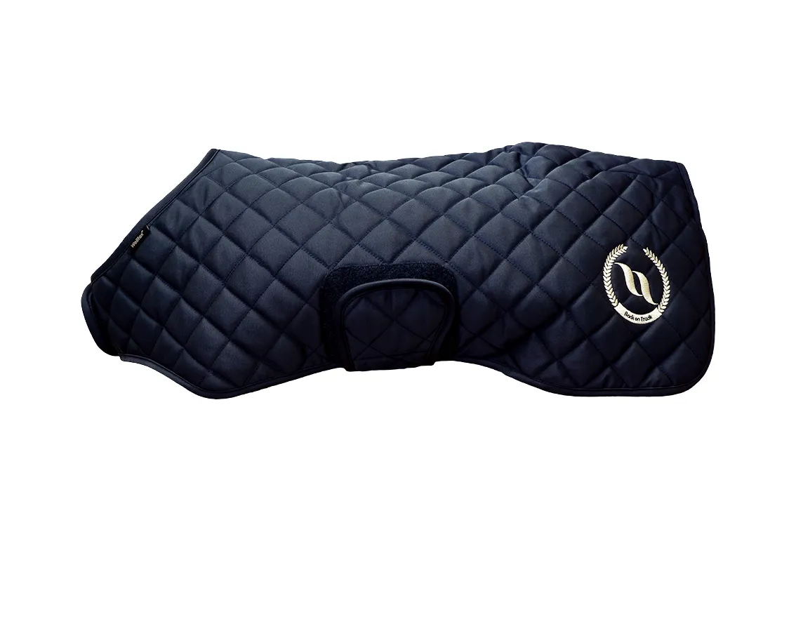 Nights Collection Dog Coat