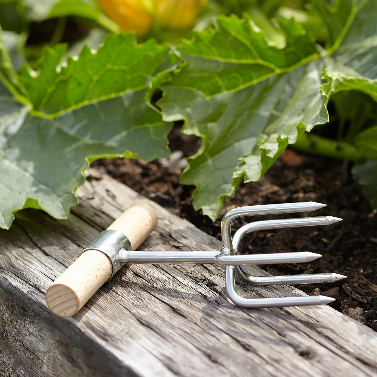 Sophie Conran Twist Cultivator