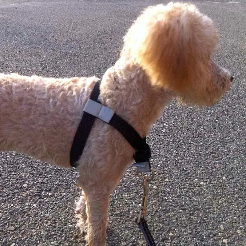 Walk Your Dog With Love, No-Pull Front-Attachment Harness - Limited stocks