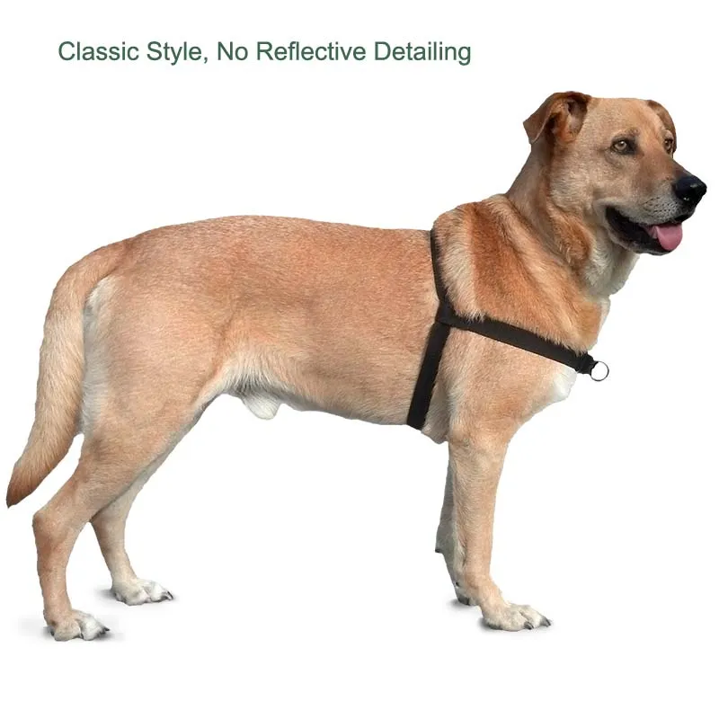 Walk Your Dog With Love, No-Pull Front-Attachment Harness - Limited stocks