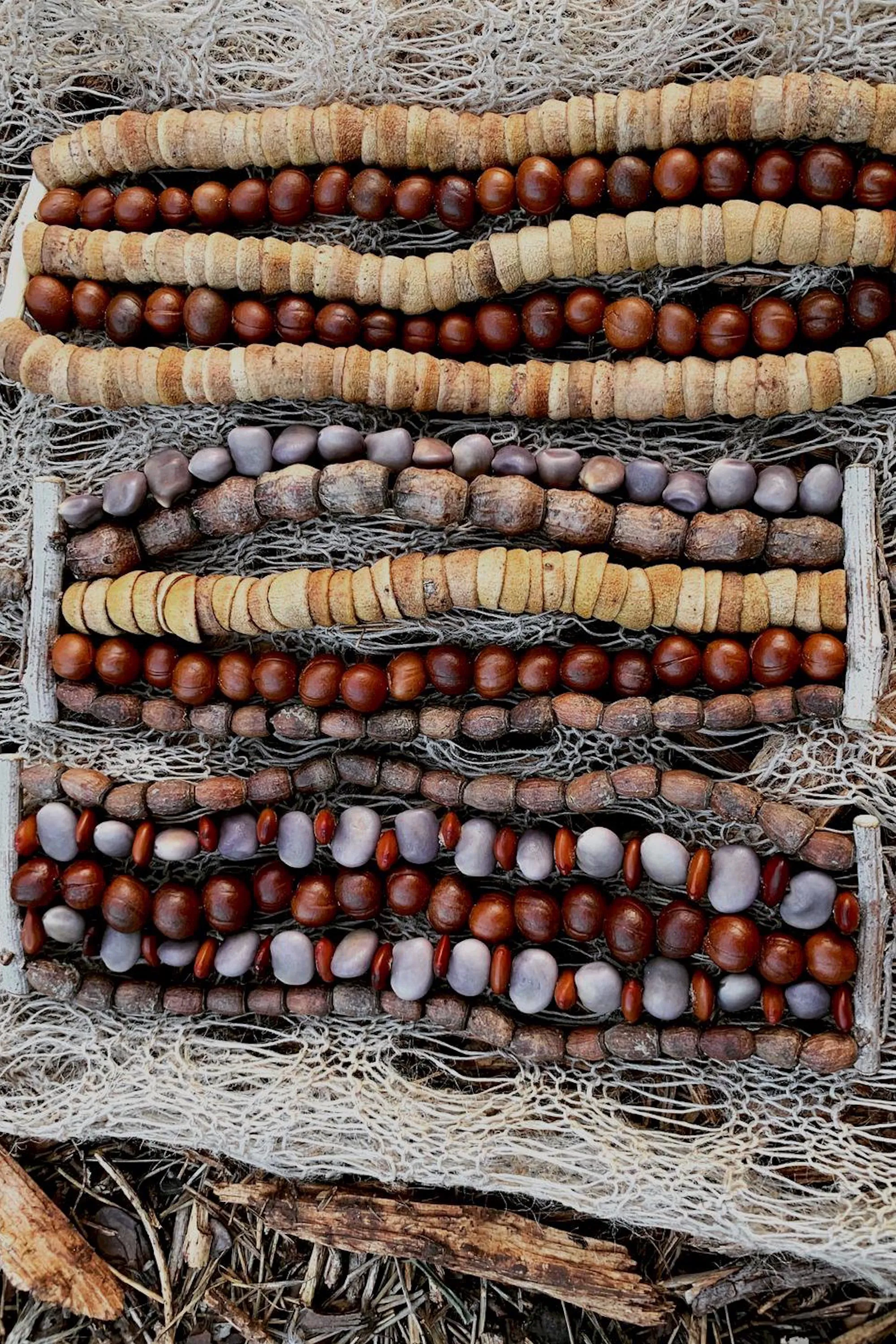 Wild Seeds Bracelet